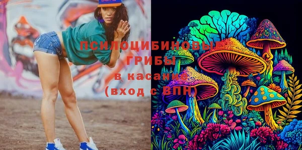 mdpv Белокуриха