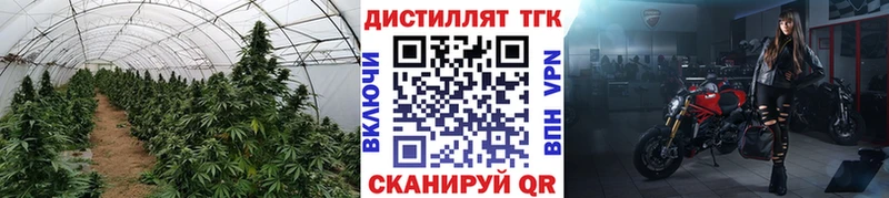 ТГК жижа Николаевск