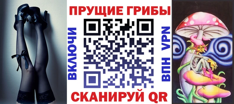 блэк спрут онион  Николаевск  Псилоцибиновые грибы GOLDEN TEACHER  наркота 